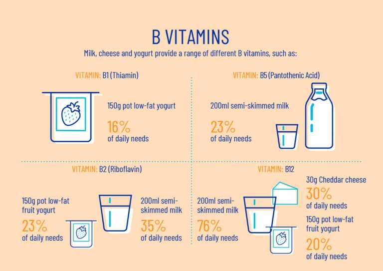 what-milk-has-the-most-protein-a-2023-review